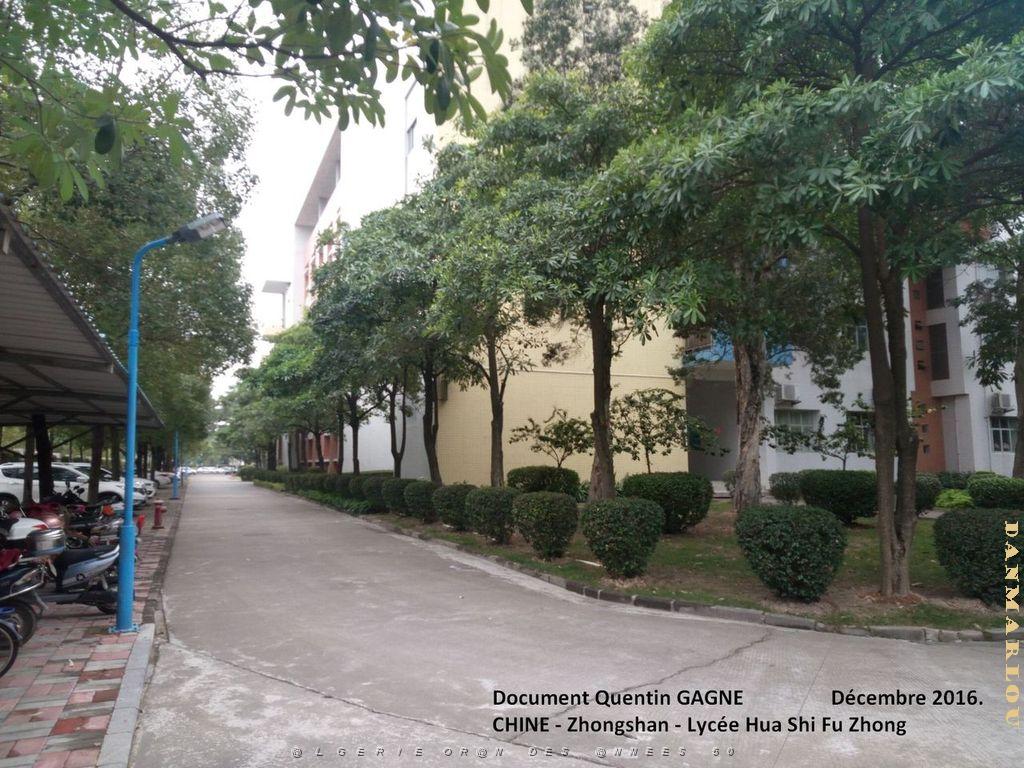 Zhongshan 039- Ensemble.jpg